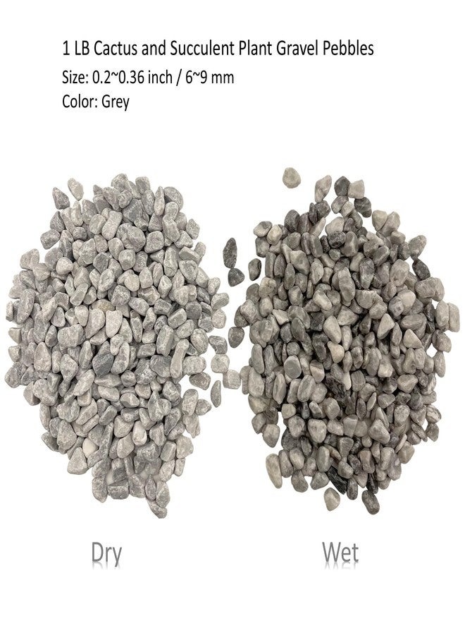 حصى مصقول طبيعي، صخور زينة للحدائق، 1 رطل من حصى نباتات الصبار والنباتات العصارية، صخور نهرية رمادية للنباتات المحفوظة في أصص، والمزهريات، وأحواض السمك، وأحواض النباتات الزجاجية، والحدائق الخارجية (0.24-0.35 بوصة) - Image 2